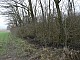 Cmentarz_Ostatkowo-006.jpg