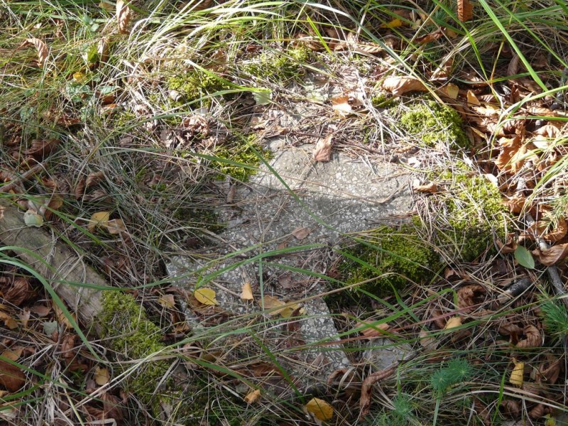 Cmentarz_Zielonowo-006.jpg
