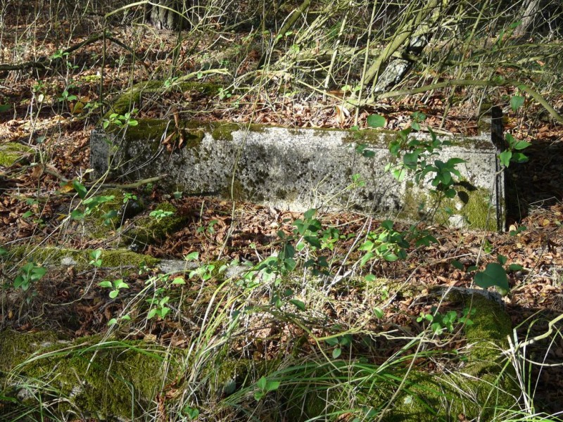 Cmentarz_Zielonowo-008.jpg