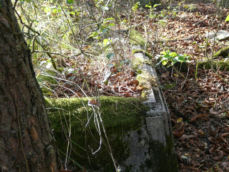 Cmentarz_Zielonowo-010.jpg