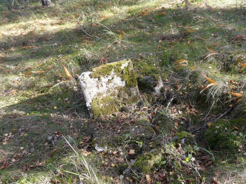 Cmentarz_Zielonowo-014.jpg