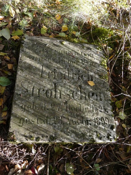 Cmentarz_Zielonowo-021.jpg