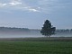 Niebo-239.jpg