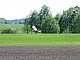 Ptaki-027.jpg