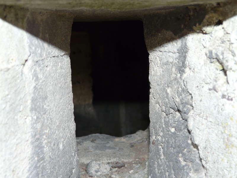 Dobrylewo-009.jpg