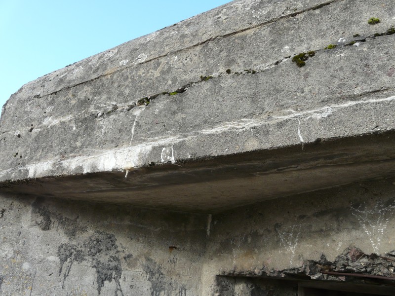 Dobrylewo-015.jpg