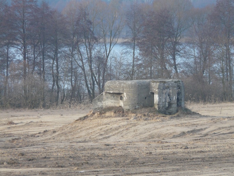 Dobrylewo-016.jpg