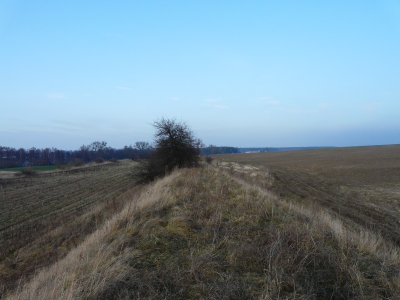 Dobrylewo-017.jpg
