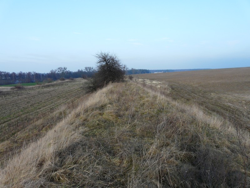 Dobrylewo-018.jpg