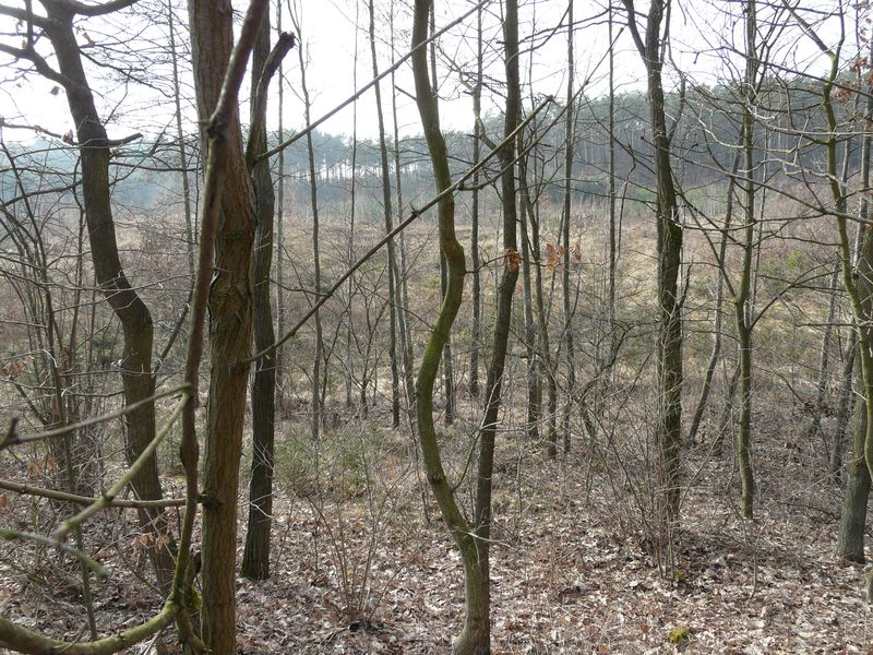 jablowskiegory-020.jpg
