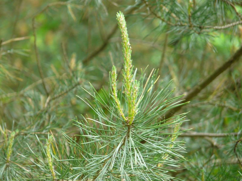 jablowskiegory-061.jpg