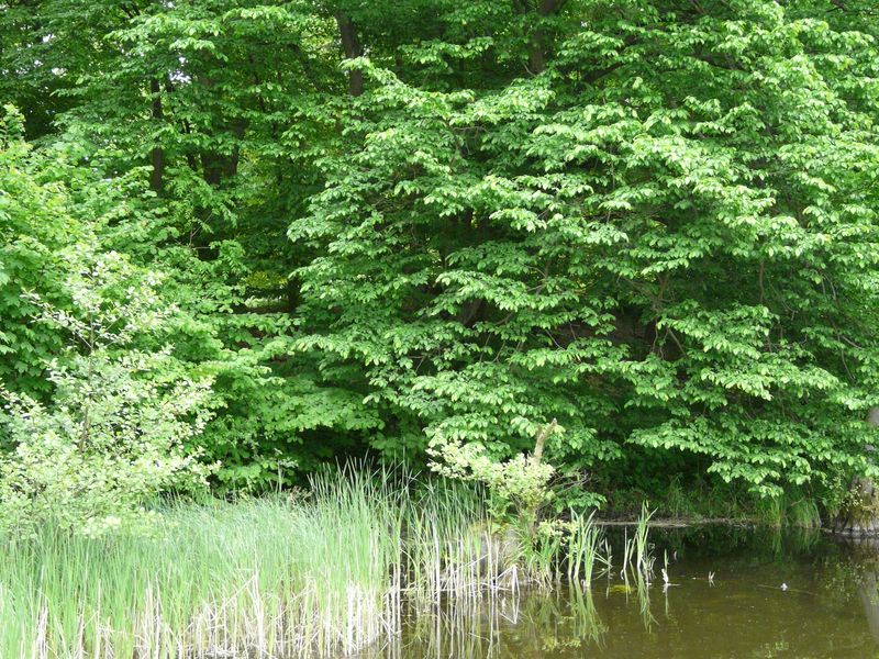 jablowskiegory-102.jpg