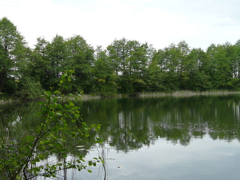 jablowskiegory-138.jpg