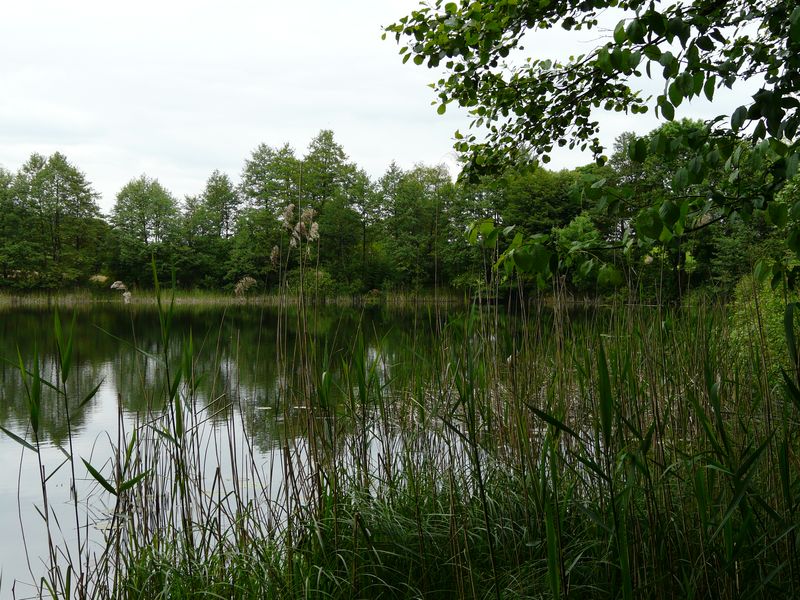 jablowskiegory-140.jpg