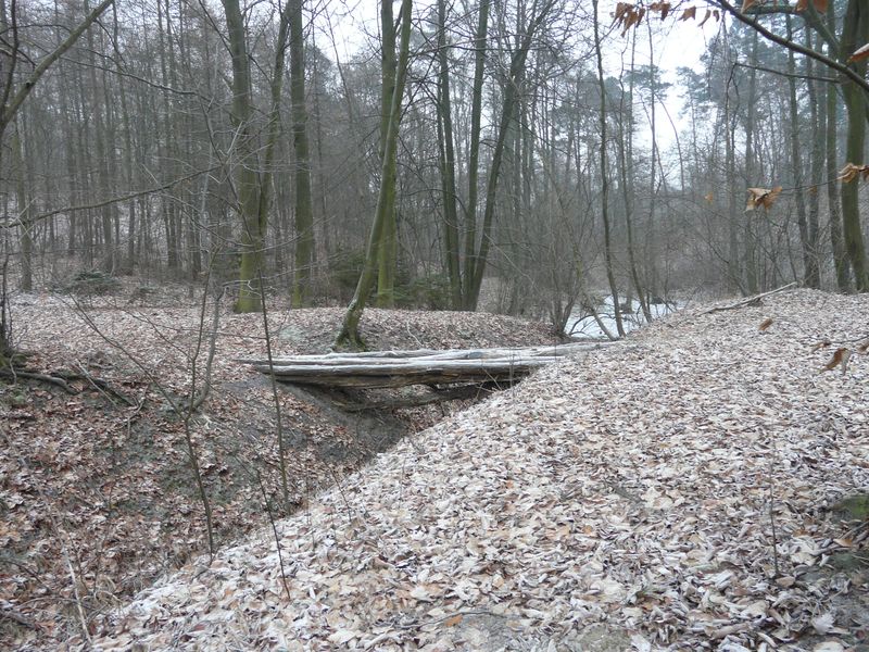 jablowskiegory-208.jpg