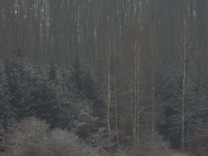 jablowskiegory-217.jpg