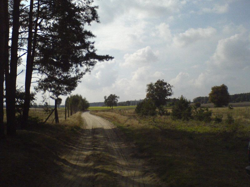 lasy-003.jpg