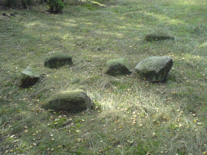 lasy-005.jpg