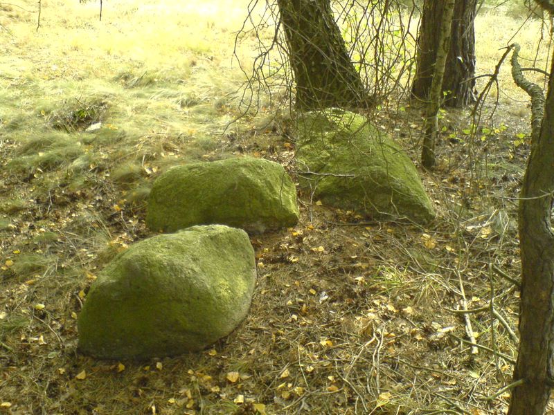 lasy-007.jpg