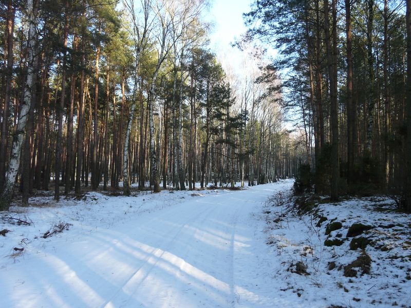 lasy-011.jpg