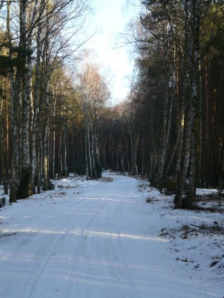 lasy-017.jpg