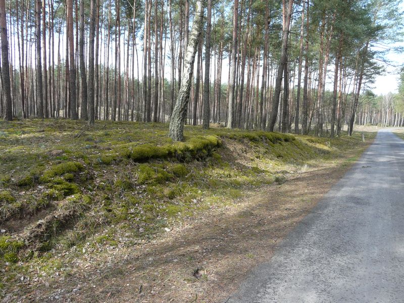 lasy-065.jpg