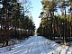 lasy-009.jpg