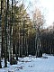 lasy-019.jpg
