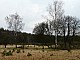 lasy-044.jpg