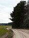 lasy-060.jpg