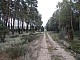 lasy-220.jpg