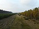 lasy-223.jpg