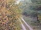 lasy-232.jpg
