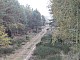 lasy-235.jpg