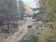 lasy-237.jpg