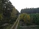 lasy-243.jpg