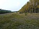 lasy-254.jpg