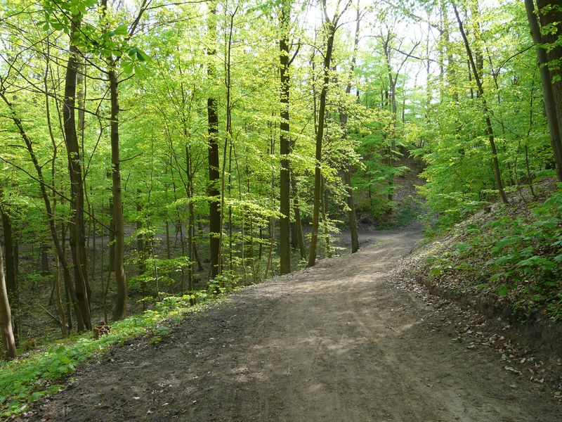 Goraj-035.jpg