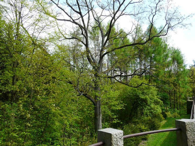 Goraj-042.jpg