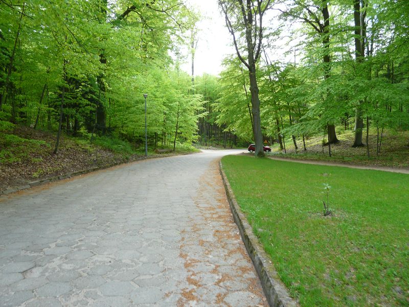 Goraj-048.jpg