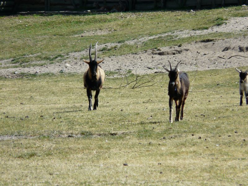 Kadzidlowo-026.jpg