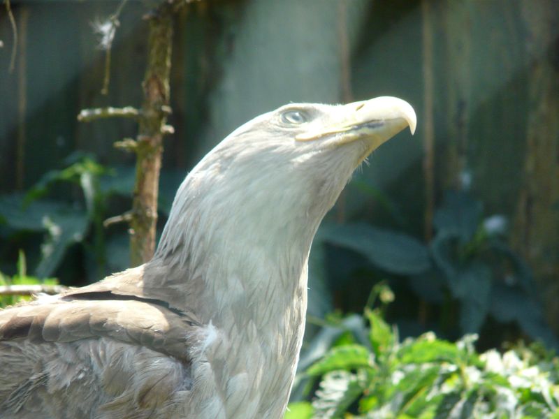 Kadzidlowo-037.jpg