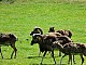 Kadzidlowo-022.jpg