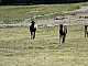 Kadzidlowo-026.jpg