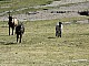 Kadzidlowo-027.jpg