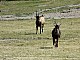 Kadzidlowo-028.jpg