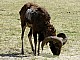 Kadzidlowo-031.jpg
