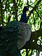 Kadzidlowo-043.jpg