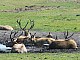 Kadzidlowo-049.jpg