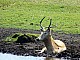 Kadzidlowo-057.jpg